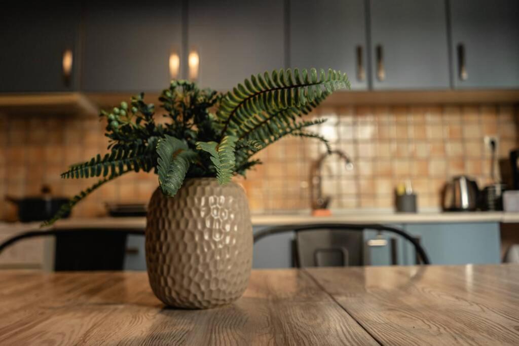 Aigli'S Urban Lodge Volos Eksteriør billede