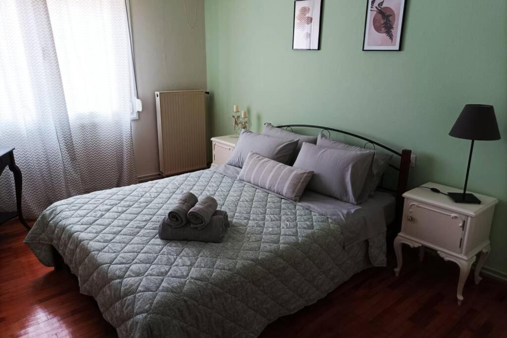 Aigli'S Urban Lodge Volos Eksteriør billede